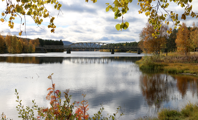 Manellbron, vy under hösten